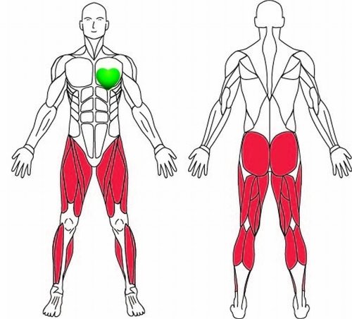 Bremshey Liegerad Br 5 - 6