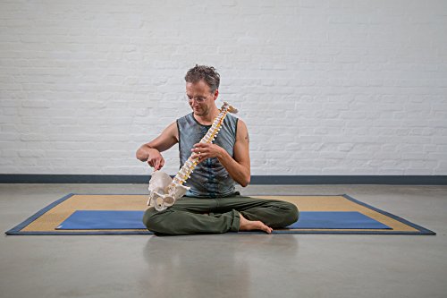 YOGABASICS Grundkurs 10 Stunden Yoga für Anfänger - 4
