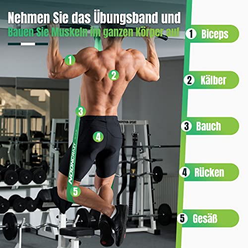 Resistance Bands, 4 Verschiedene Ebenen Widerstandsbänder mit Türanker und Handgriffen, Fitnessbänder für Kraftraining, Training, Physiotherapie, Yoga für Männer und Frauen - 5