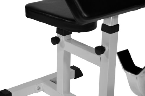 Bad Company Scott Curler I Hantelbank für isoliertes Bizeps- und Unterarmtraining mit SZ-Hanteln und Langhantelstangen I Max. Gewichtsbelastung bis zu 250 kg I BCA-20 - 6