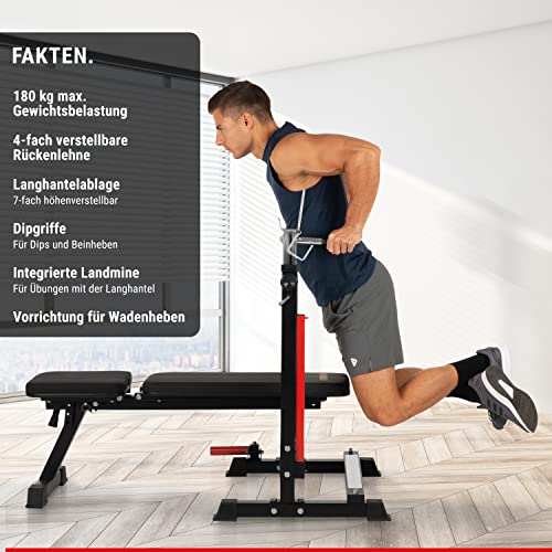 HAMMER Hantelbank Force 4.0 mit Rack, Hantelbank klappbar, Schrägbank, Flachbank, max. 180 kg Körpergewicht, Dipgriffe, Langhantelablage - Trainingsbank Hantelbank verstellbar Home Gym Bankdrücken - 3