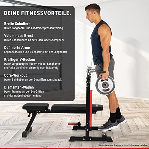 HAMMER Hantelbank Force 4.0 mit Rack, Hantelbank klappbar, Schrägbank, Flachbank, max. 180 kg Körpergewicht, Dipgriffe, Langhantelablage - Trainingsbank Hantelbank verstellbar Home Gym Bankdrücken - 5