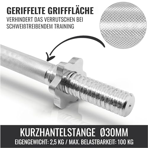 GORILLA SPORTS® Kurzhantelset 30 kg - 2er Set, 12 Hantelscheiben, 2 Kurzhantelstangen mit 4 Sternverschlüssen, 30mm, Gusseisen, rutschfest, Gerändelt, Silber/Schwarz - Kurzhanteln, Kurzhantel Set - 4