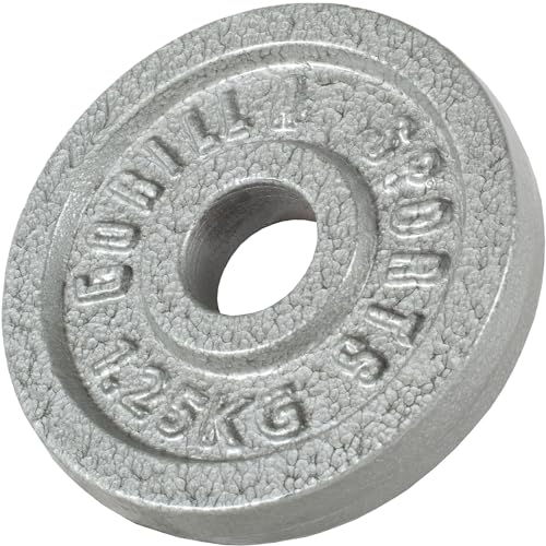 GORILLA SPORTS® Kurzhantelset 30 kg - 2er Set, 12 Hantelscheiben, 2 Kurzhantelstangen mit 4 Sternverschlüssen, 30mm, Gusseisen, rutschfest, Gerändelt, Silber/Schwarz - Kurzhanteln, Kurzhantel Set - 5