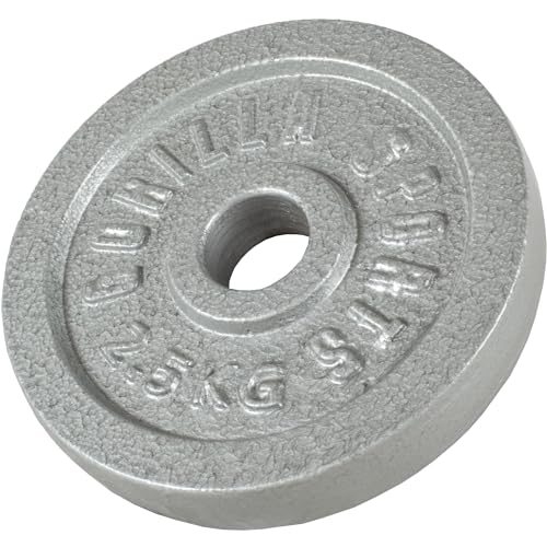GORILLA SPORTS® Kurzhantelset 30 kg - 2er Set, 12 Hantelscheiben, 2 Kurzhantelstangen mit 4 Sternverschlüssen, 30mm, Gusseisen, rutschfest, Gerändelt, Silber/Schwarz - Kurzhanteln, Kurzhantel Set - 6