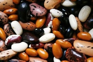 Proteine in Form von Hülsenfrüchte - auch in Kapselform erhältlich